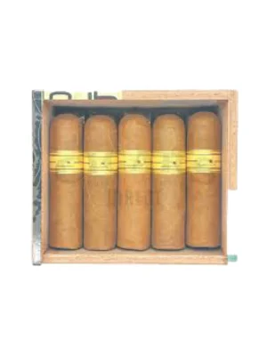 Nub Connecticut 466