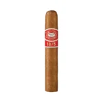 Romeo Y Julieta Petite Bully
