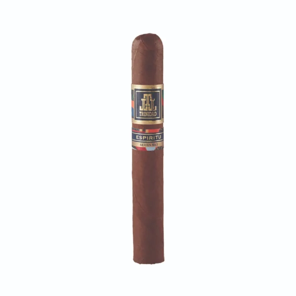 Trinidad Espiritu Toro
